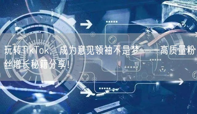 玩转TikTok，成为意见领袖不是梦——高质量粉丝增长秘籍分享！