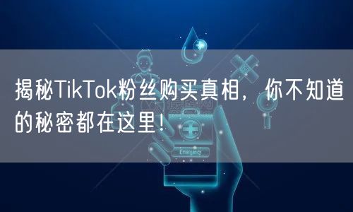 揭秘TikTok粉丝购买真相，你不知道的秘密都在这里！