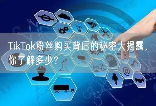 TikTok粉丝购买背后的秘密大揭露，你了解多少？