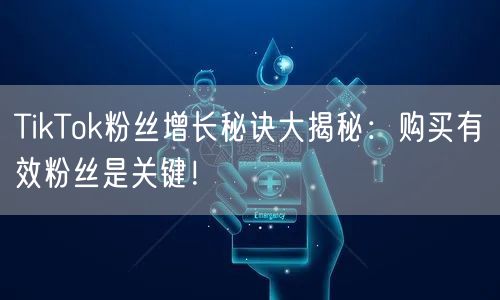 TikTok粉丝增长秘诀大揭秘：购买有效粉丝是关键！