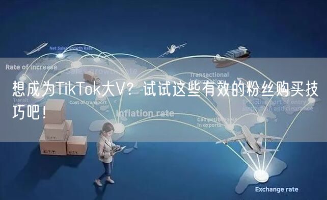 想成为TikTok大V？试试这些有效的粉丝购买技巧吧！