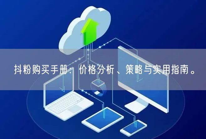 抖粉购买手册：价格分析、策略与实用指南。
