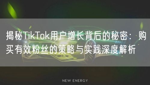 揭秘TikTok用户增长背后的秘密：购买有效粉丝的策略与实践深度解析