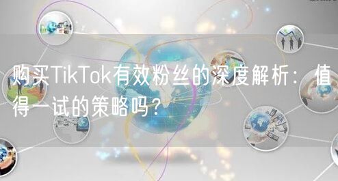 购买TikTok有效粉丝的深度解析：值得一试的策略吗？