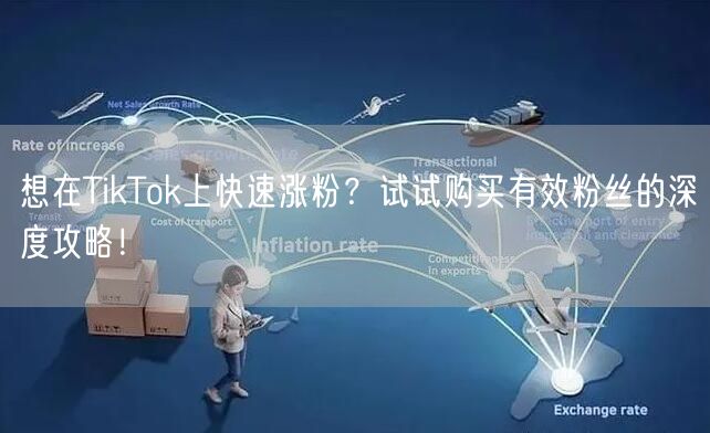 想在TikTok上快速涨粉？试试购买有效粉丝的深度攻略！