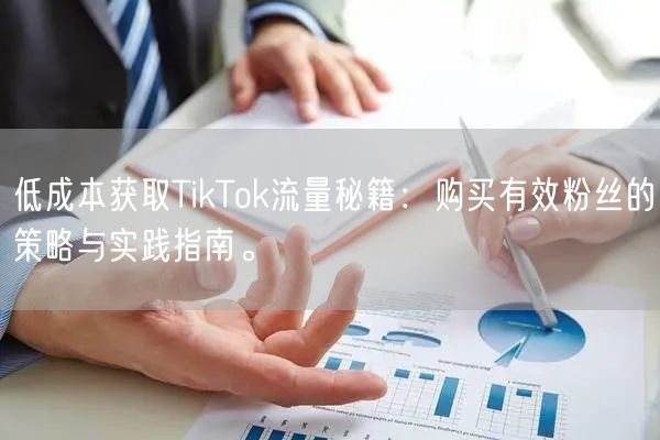 低成本获取TikTok流量秘籍：购买有效粉丝的策略与实践指南。