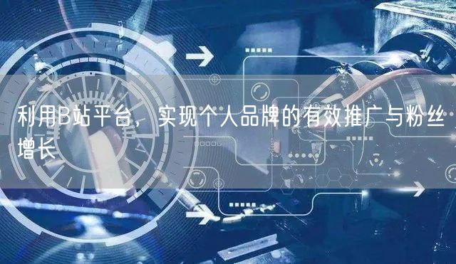 利用B站平台，实现个人品牌的有效推广与粉丝增长
