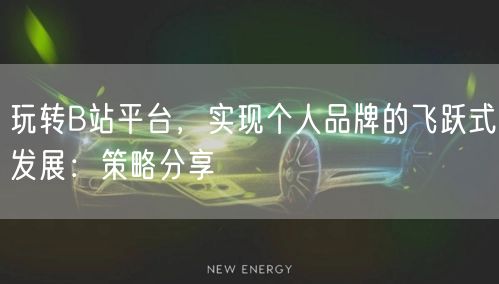玩转B站平台，实现个人品牌的飞跃式发展：策略分享