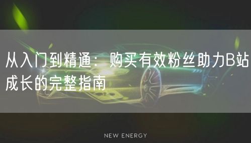 从入门到精通：购买有效粉丝助力B站成长的完整指南