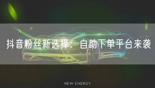 抖音粉丝新选择：自助下单平台来袭