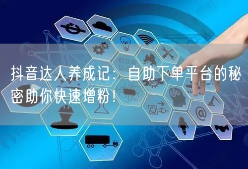 抖音达人养成记：自助下单平台的秘密助你快速增粉！