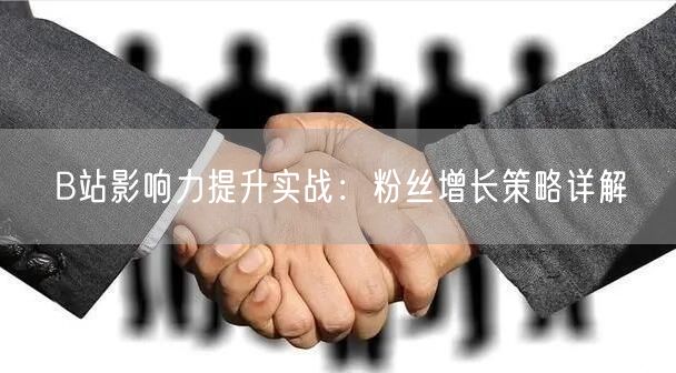 B站影响力提升实战：粉丝增长策略详解