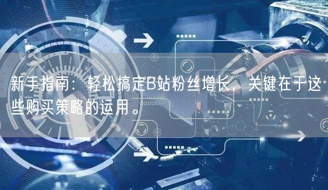 新手指南：轻松搞定B站粉丝增长，关键在于这些购买策略的运用。