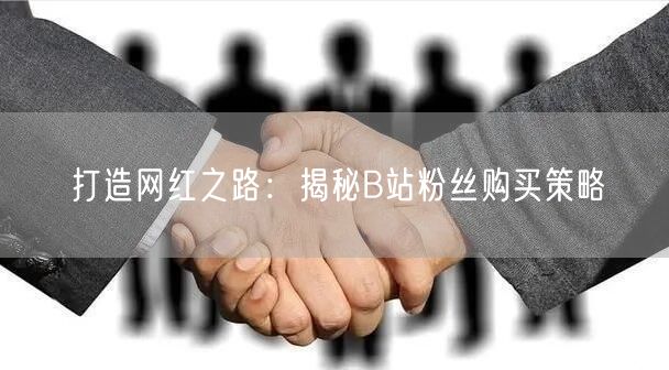 打造网红之路：揭秘B站粉丝购买策略