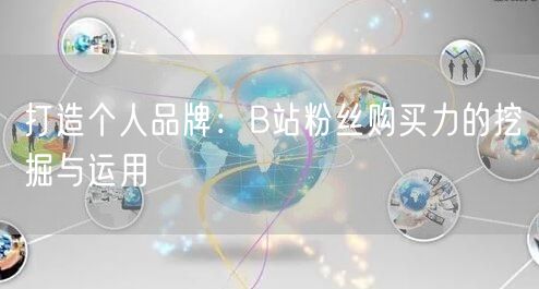 打造个人品牌：B站粉丝购买力的挖掘与运用