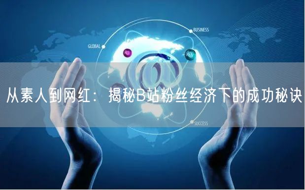 从素人到网红：揭秘B站粉丝经济下的成功秘诀