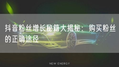 抖音粉丝增长秘籍大揭秘：购买粉丝的正确途径