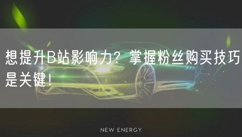 想提升B站影响力？掌握粉丝购买技巧是关键！