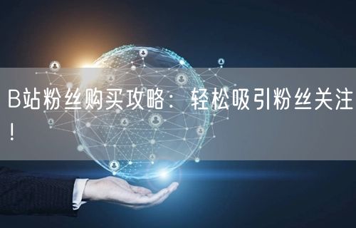 B站粉丝购买攻略：轻松吸引粉丝关注！