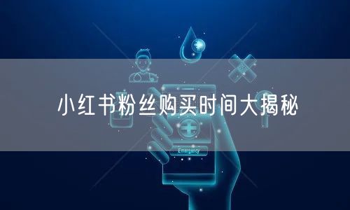 小红书粉丝购买时间大揭秘