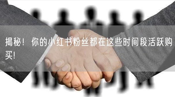揭秘！你的小红书粉丝都在这些时间段活跃购买!