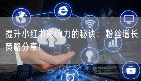 提升小红书影响力的秘诀：粉丝增长策略分享!