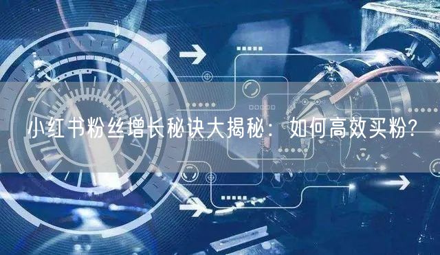 小红书粉丝增长秘诀大揭秘：如何高效买粉?