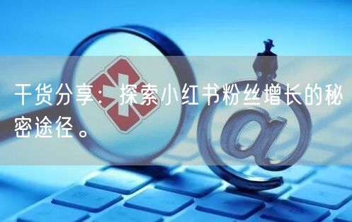 干货分享：探索小红书粉丝增长的秘密途径。