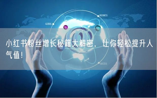 小红书粉丝增长秘籍大解密，让你轻松提升人气值！