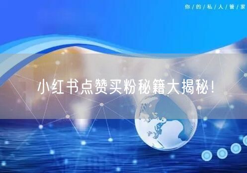 小红书点赞买粉秘籍大揭秘！