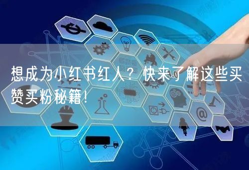 想成为小红书红人？快来了解这些买赞买粉秘籍！