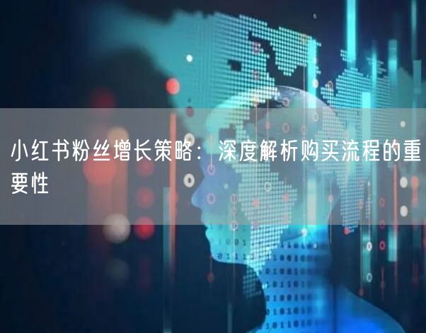 小红书粉丝增长策略：深度解析购买流程的重要性