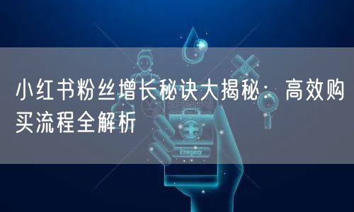 小红书粉丝增长秘诀大揭秘：高效购买流程全解析