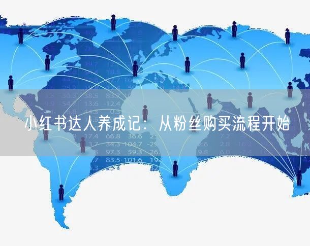 小红书达人养成记：从粉丝购买流程开始