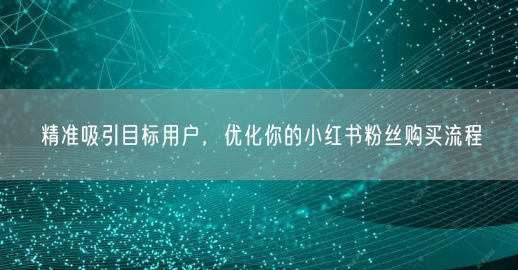 精准吸引目标用户，优化你的小红书粉丝购买流程