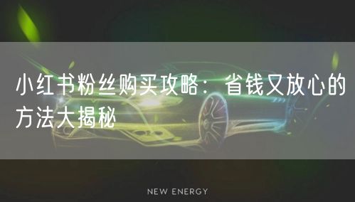 小红书粉丝购买攻略：省钱又放心的方法大揭秘