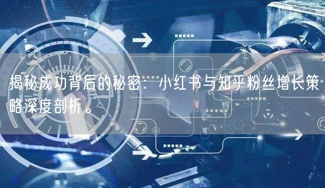 揭秘成功背后的秘密：小红书与知乎粉丝增长策略深度剖析。