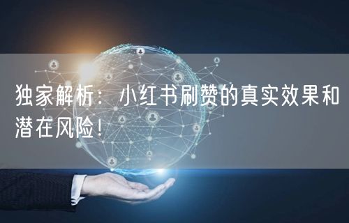 独家解析：小红书刷赞的真实效果和潜在风险！