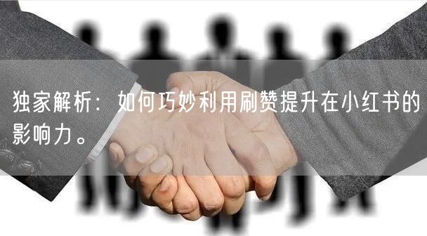 独家解析：如何巧妙利用刷赞提升在小红书的影响力。