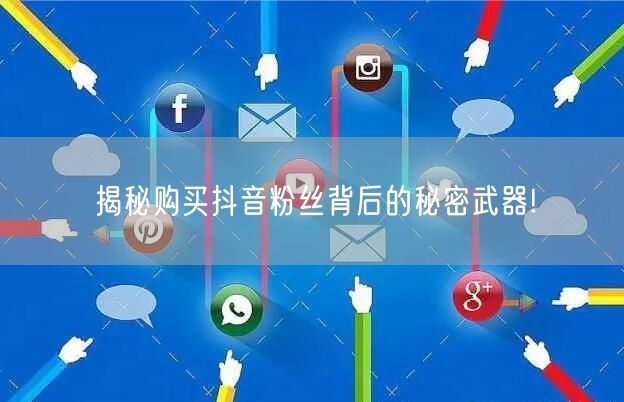揭秘购买抖音粉丝背后的秘密武器!