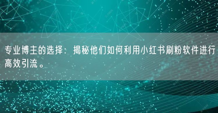专业博主的选择：揭秘他们如何利用小红书刷粉软件进行高效引流。