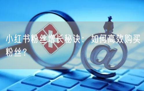 小红书粉丝增长秘诀：如何高效购买粉丝？