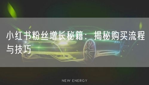 小红书粉丝增长秘籍：揭秘购买流程与技巧