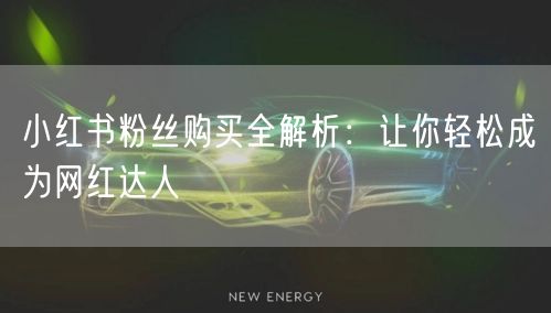 小红书粉丝购买全解析：让你轻松成为网红达人