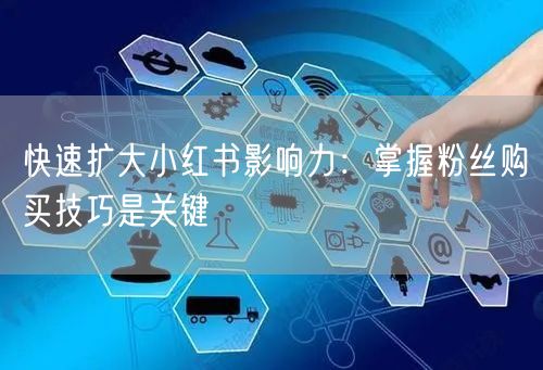 快速扩大小红书影响力：掌握粉丝购买技巧是关键