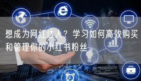 想成为网红达人？学习如何高效购买和管理你的小红书粉丝。