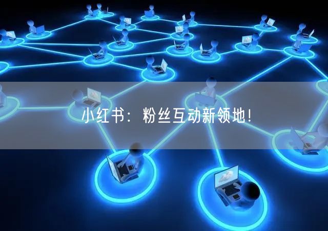 小红书：粉丝互动新领地！