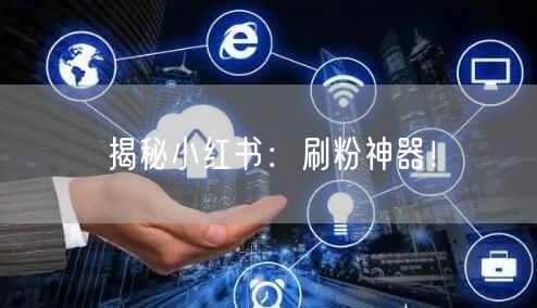 揭秘小红书：刷粉神器！