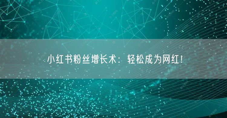 小红书粉丝增长术：轻松成为网红！