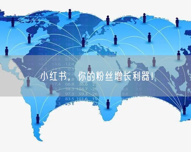 小红书，你的粉丝增长利器！